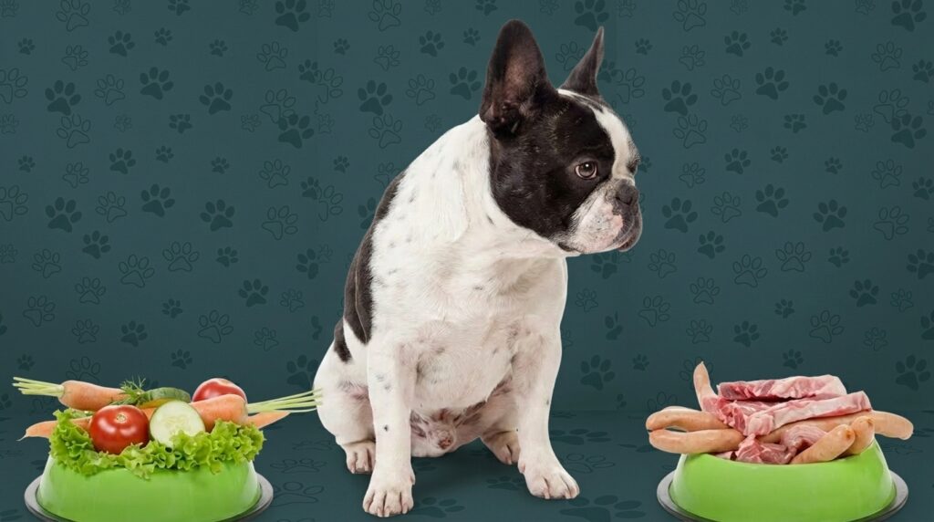 french bulldog food allergies