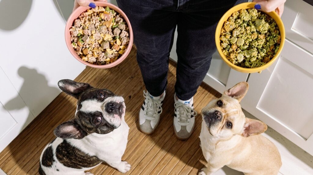 Best Dog Food for French Bulldogs with Allergies, owners guide
