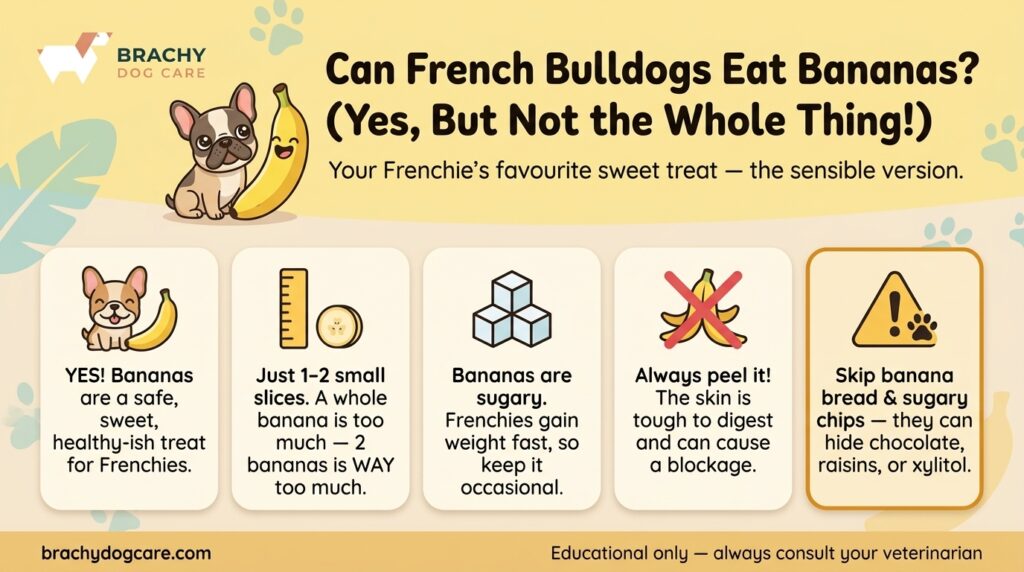 Can French Bulldogs Eat Bananas? How Much Is Safe 