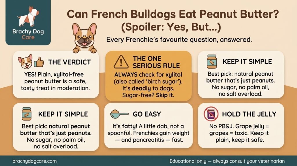 infographic about Can French Bulldogs Eat Peanut Butter? Safety, Amounts, and the Xylitol Warning