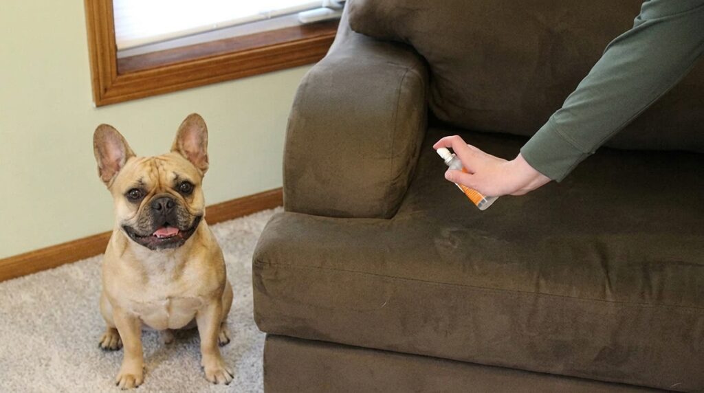 Calming Aids for French Bulldogs: guideand what actually wokrs
